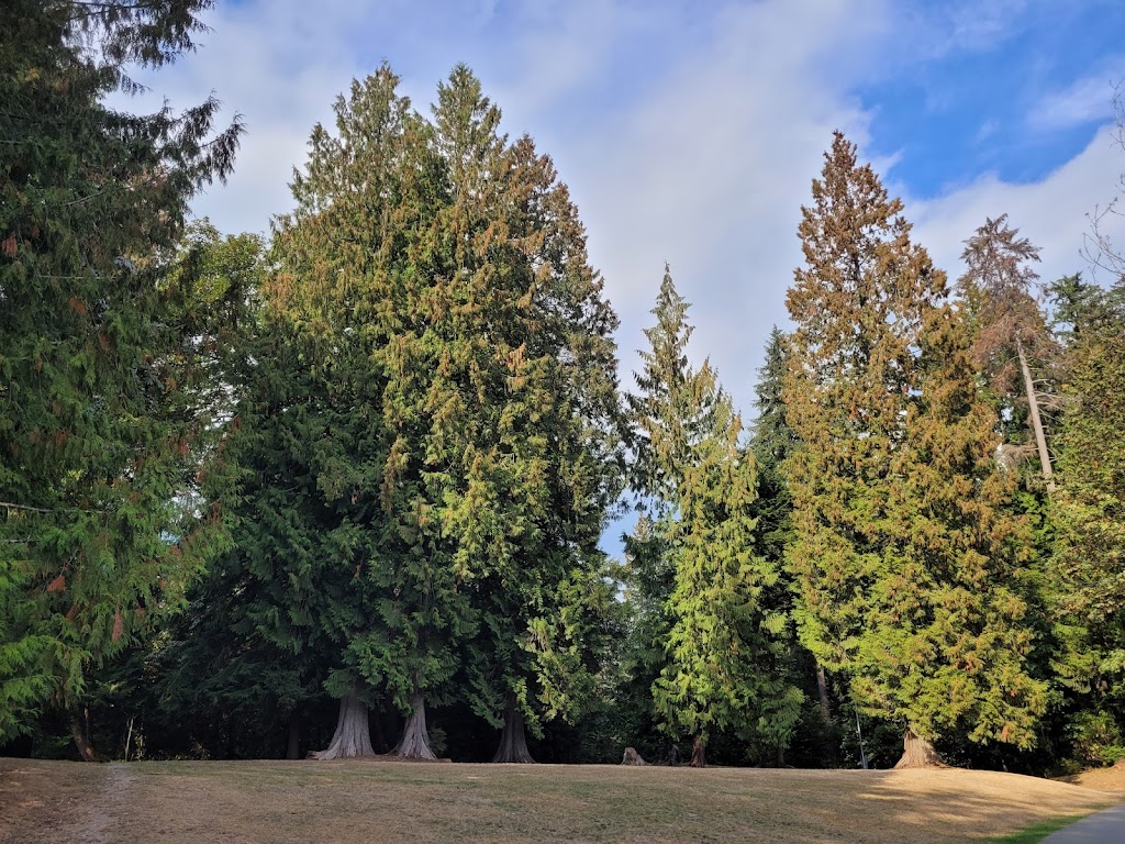 Chelsea Park Off-leash Dog Area | 1277 Chelsea Ave, Port Coquitlam, BC V3B 7J9, Canada | Phone: (604) 927-5496