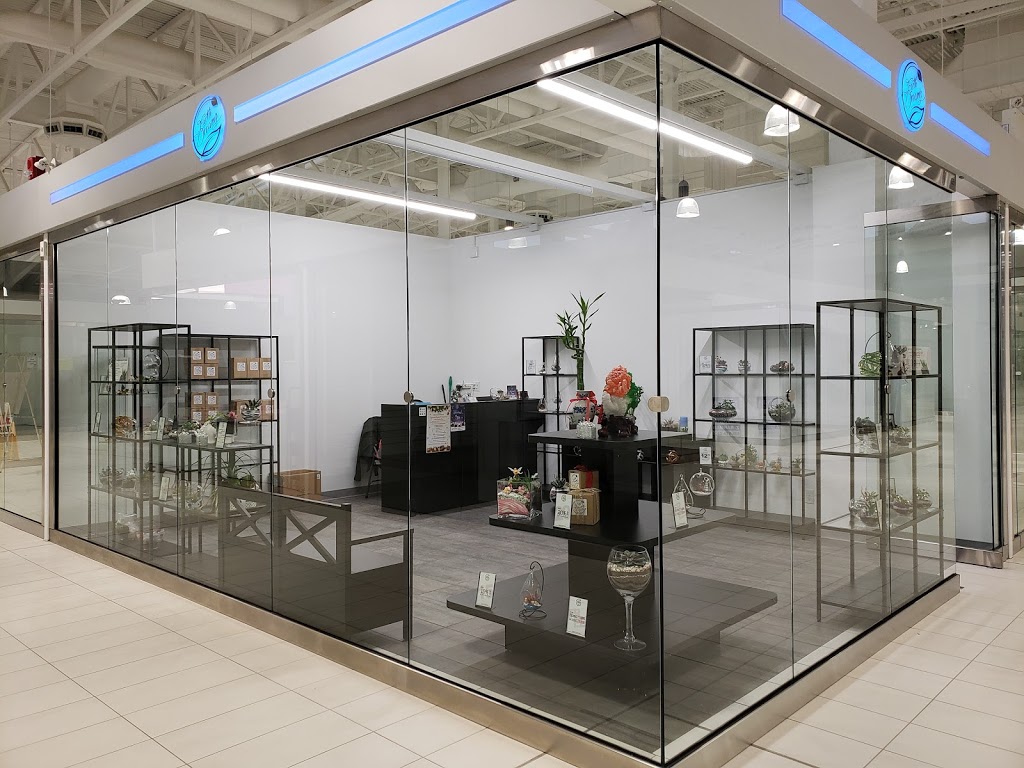 Earth Dreamz | New Horizon Mall, 260300 Writing Creek Cres Unit G51, Balzac, AB T0M 0E0, Canada | Phone: (403) 966-9648