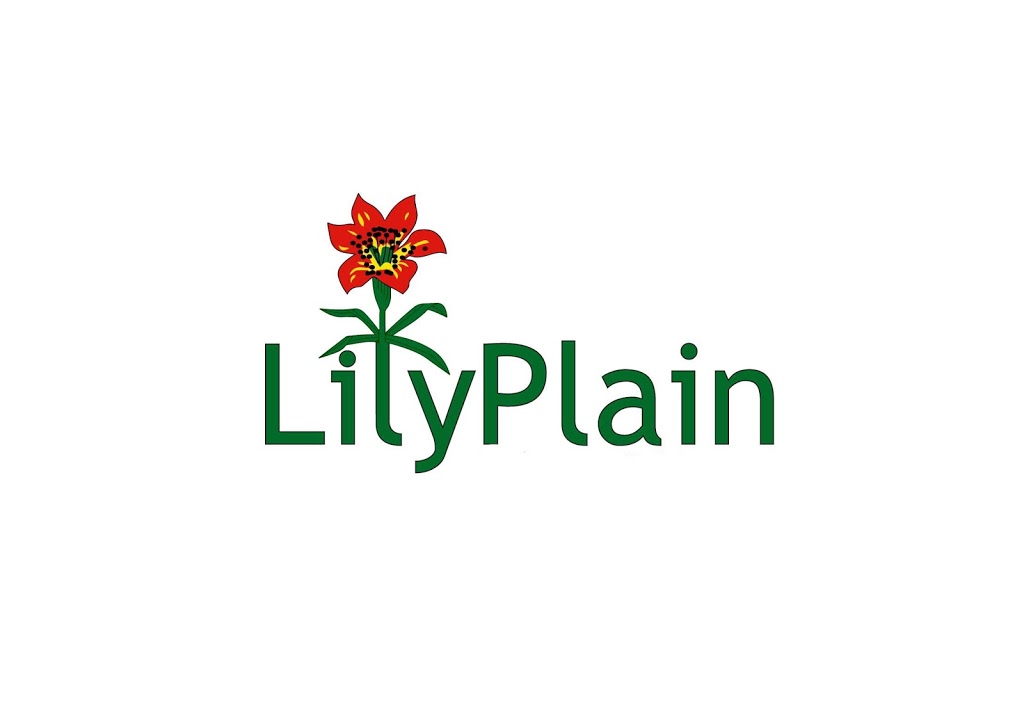 Lily Plain Gardens | Duck Lake No. 463, SK S0J 1G0, Canada | Phone: (306) 314-7746