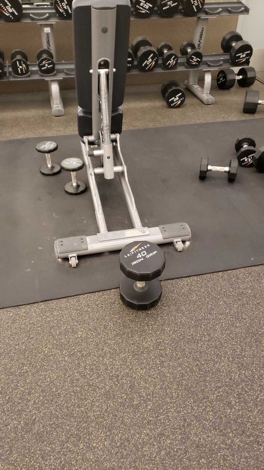 LA Fitness | 4561 Hurontario St, Mississauga, ON L4Z 3X3, Canada | Phone: (647) 243-5081