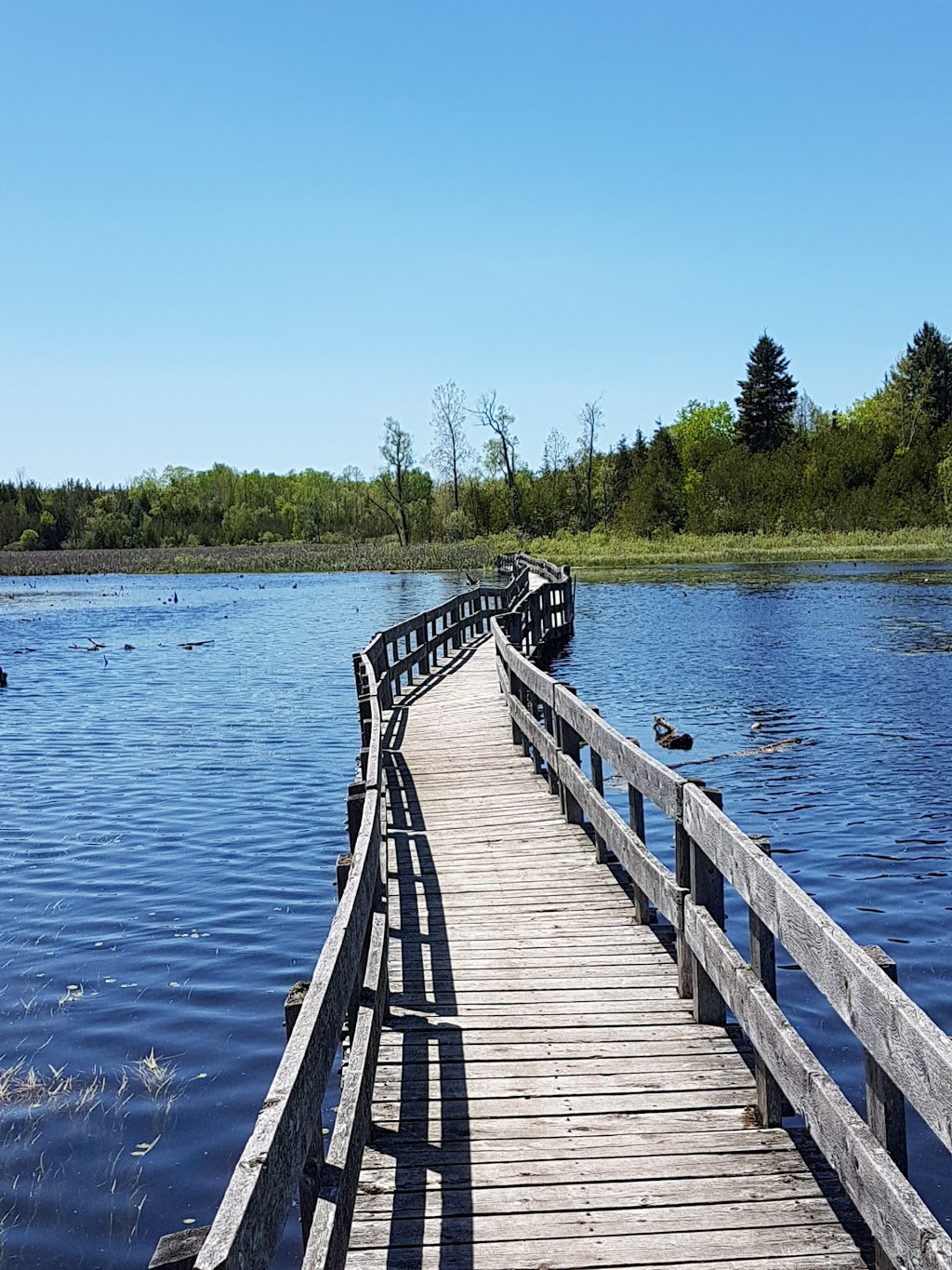 HR Frink Conservation Area and Outdoor Education Centre | 381 Thrasher Rd, Plainfield, ON K0K 2V0, Canada | Phone: (613) 968-3434