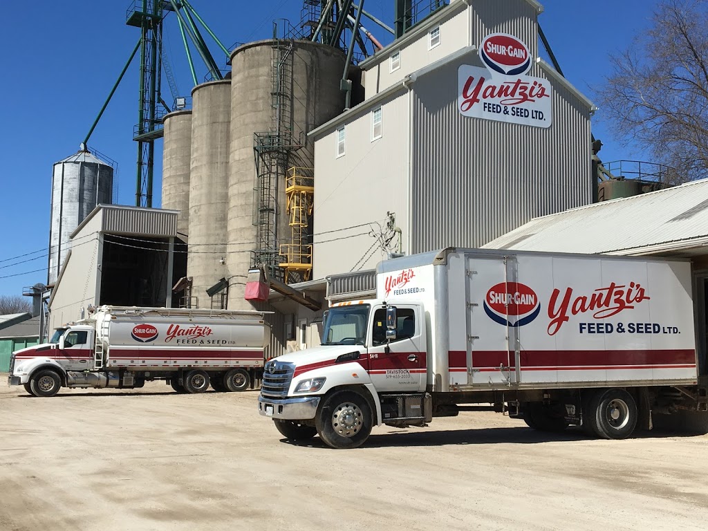 Yantzi Feed & Seed | 65 Woodstock St N, Tavistock, ON N0B 2R0, Canada | Phone: (519) 655-2033