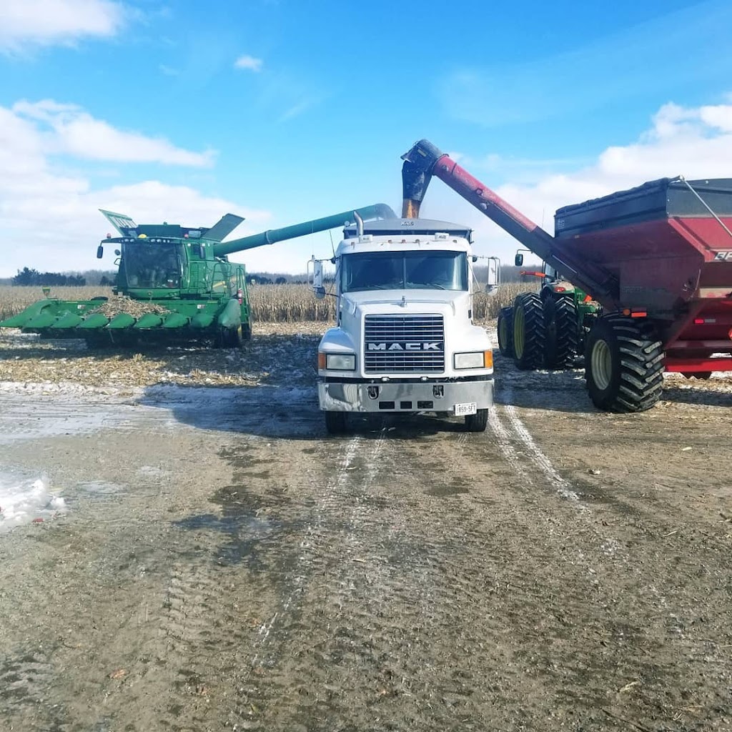Hodgins Farm Services INC. | 69393 Corbett Line, Dashwood, ON N0M 1N0, Canada | Phone: (519) 808-5944
