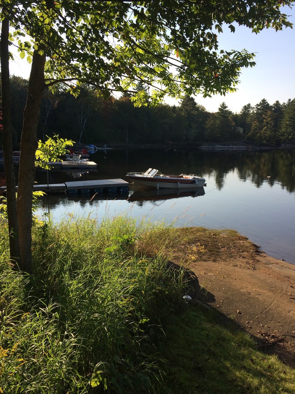 Roypetryrenovations | 1172 Oliver Rd, Algonquin Highlands, ON K0M 1J2, Canada | Phone: (705) 457-7179