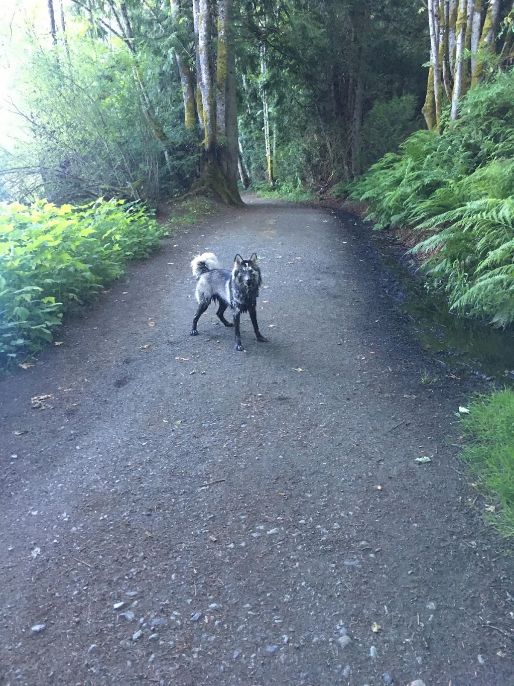 Tillicum Park | Arena Rd, Victoria, BC V9A, Canada | Phone: (250) 475-5522
