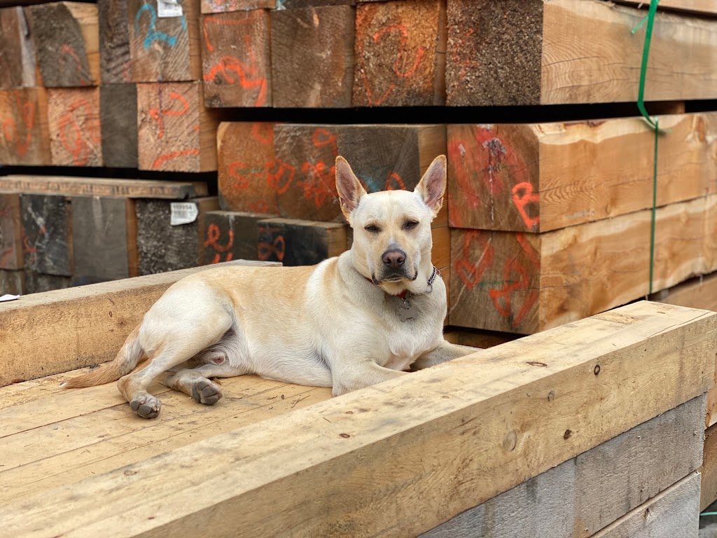 Lumber Store by CarlWood | 9492 287 St, Maple Ridge, BC V2W 1L1, Canada | Phone: (604) 968-9663