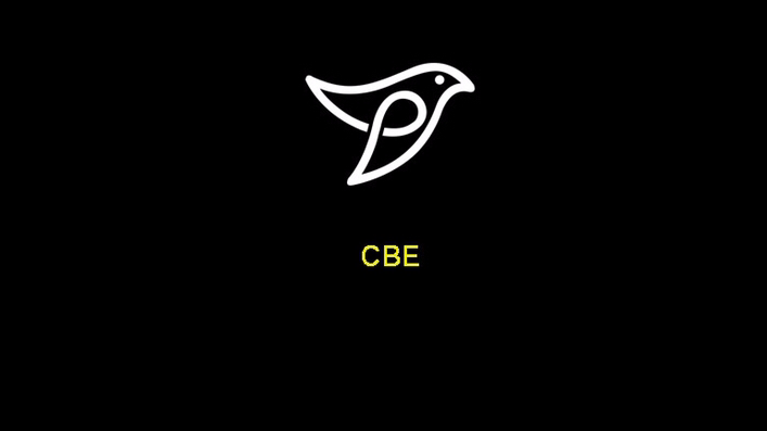 CBE Biz | 60 Cicerella Crescent, Scarborough, ON M1K 5B5, Canada | Phone: (647) 671-4415