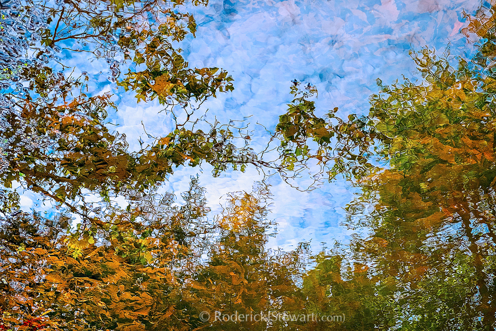 PhotoHaiku Press | 777 Cook St #215, Victoria, BC V8V 3Y9, Canada | Phone: (250) 882-3339