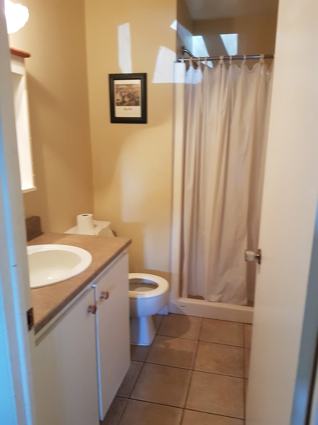 Chalets Lauzon | 521 Rue Lauzon, Saint-Faustin-Lac-Carré, QC J0T 1J2, Canada | Phone: (819) 688-2809