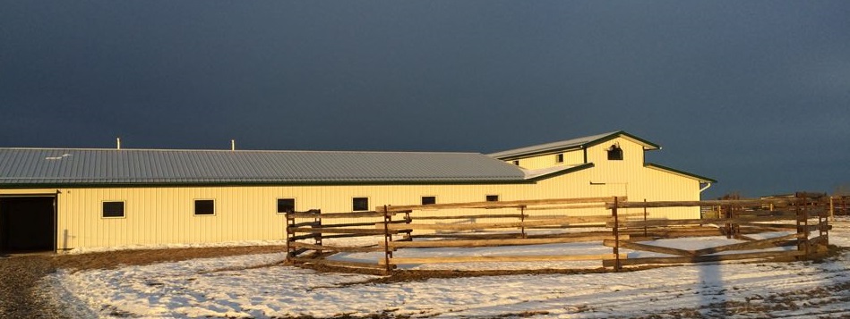 Kaspian Equestrian | Box 26 Site 7 RR3, Olds, AB T4H 1P4, Canada | Phone: (403) 556-3478