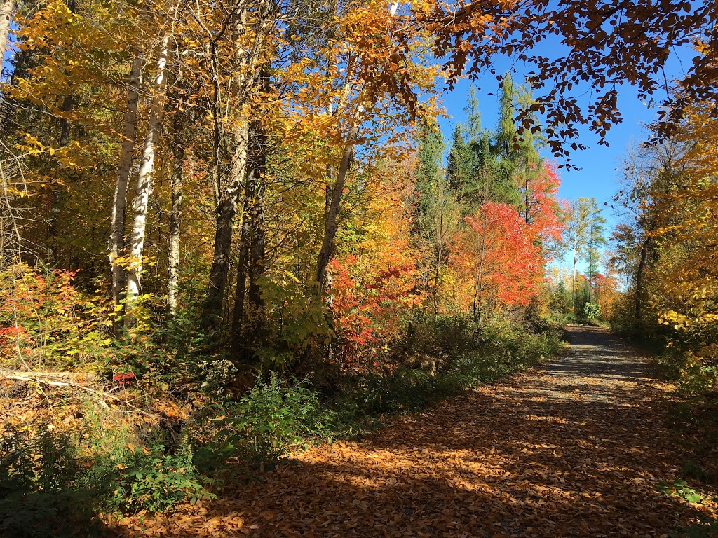 TERRA PERMA VACATION CENTRE DE VACANCES | 218 Chemin White, Harrington, QC J8G 2T3, Canada | Phone: (514) 291-6368