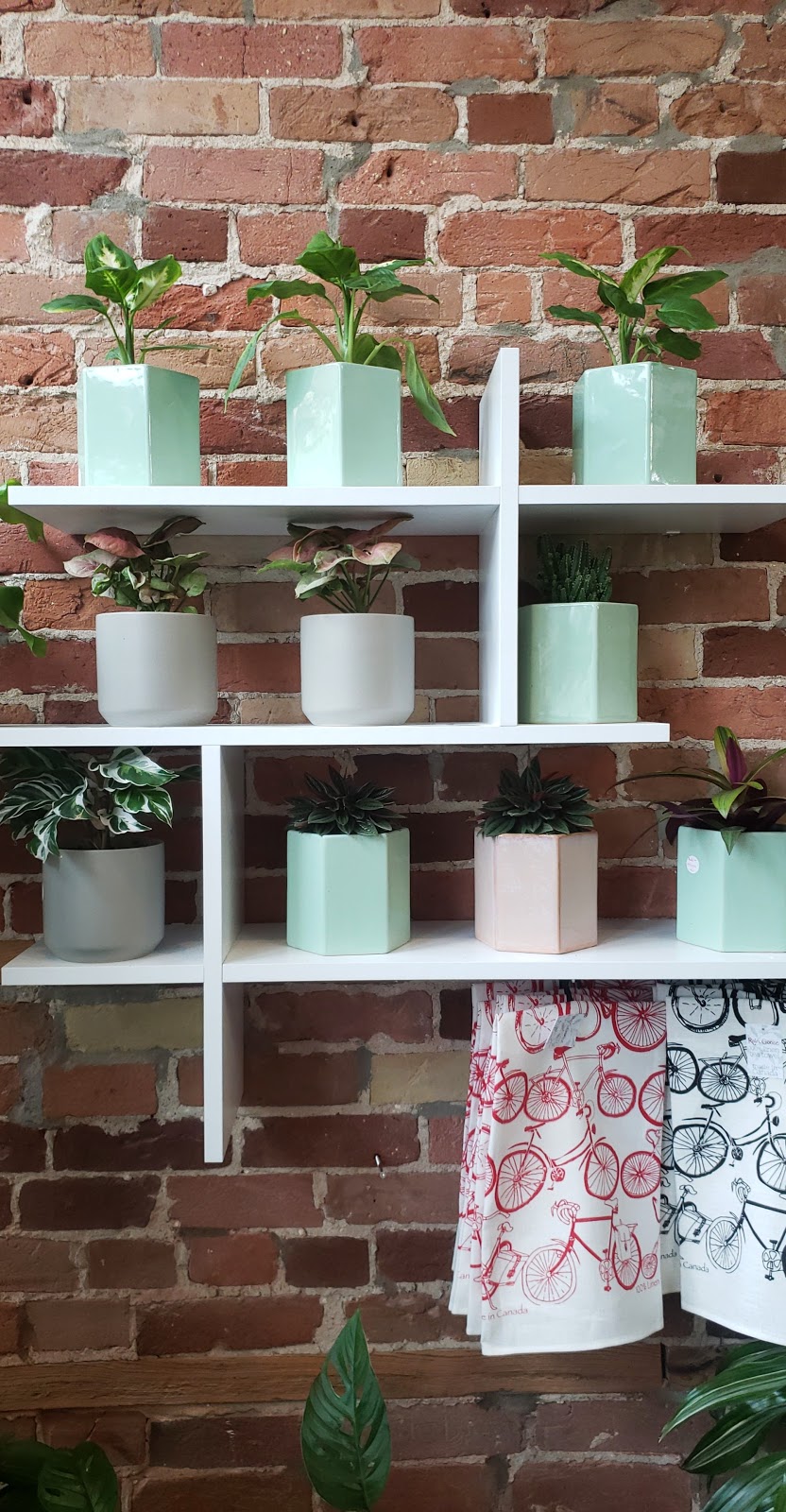 The Valley Shoppe | 36 King St E, Millbrook, ON L0A 1G0, Canada | Phone: (289) 200-7755
