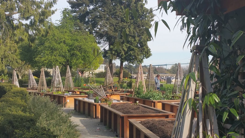 Argyle Village Gardens | 1534 Argyle Ave, West Vancouver, BC V7V 1A1, Canada | Phone: (604) 925-7275