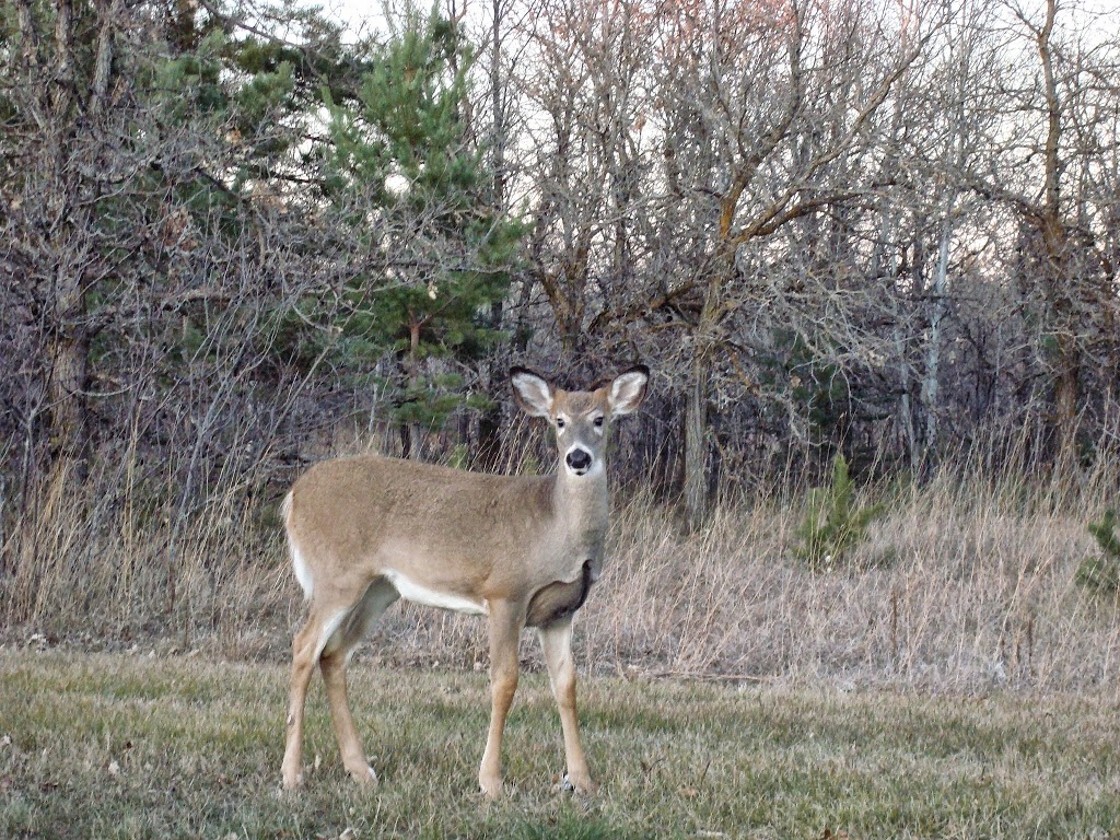 Birds Hill Park Ranch | 59 North Dr, Oakbank, MB R2G 1Y9, Canada | Phone: (204) 222-1137