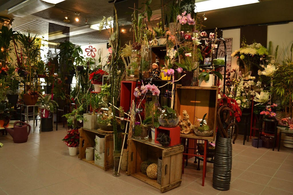 Fleuriste St-Anselme | 626 Route Bégin, Saint-Anselme, QC G0R 2N0, Canada | Phone: (418) 885-9611