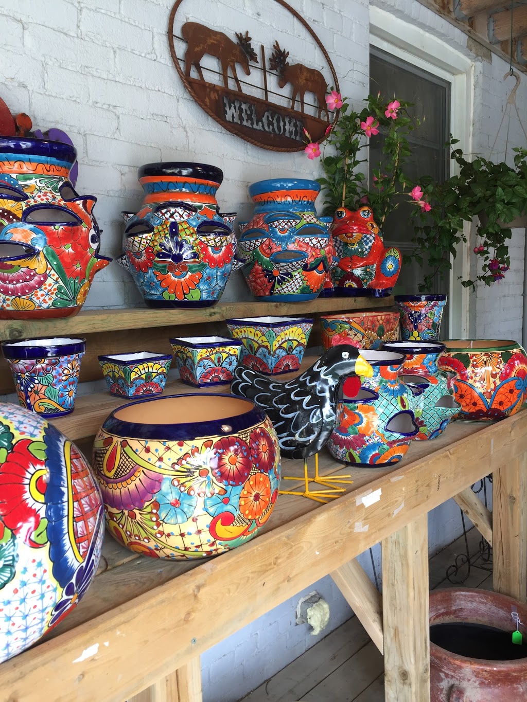 Argyle Farm Market | 264 Glenarm Rd, Woodville, ON K0M 2T0, Canada | Phone: (705) 439-3850