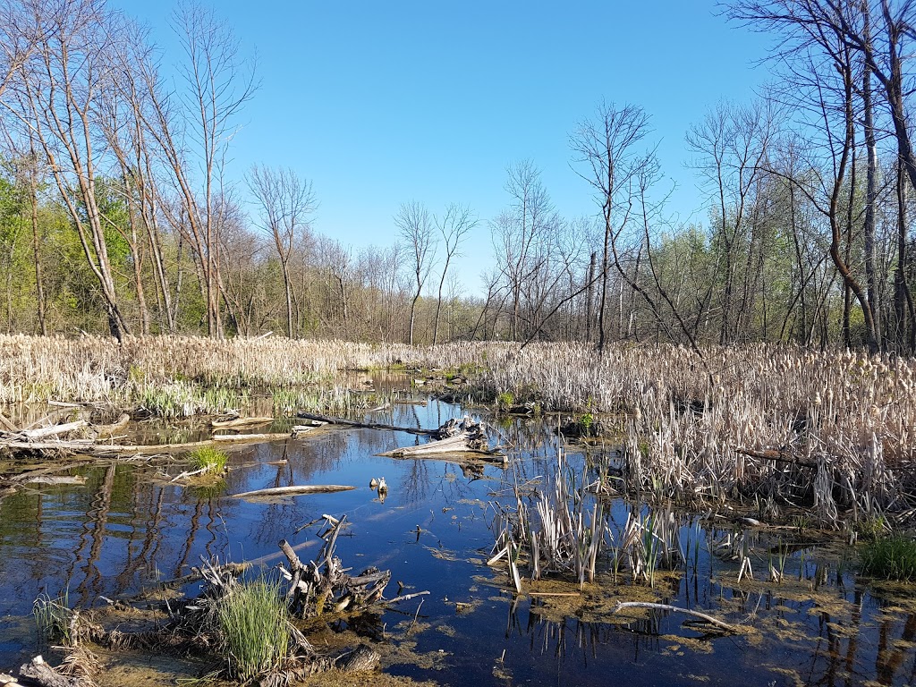 Pike Lake Nature Trail | Vanscoy No. 345, SK S0K 1K0, Canada | Phone: (306) 933-6966
