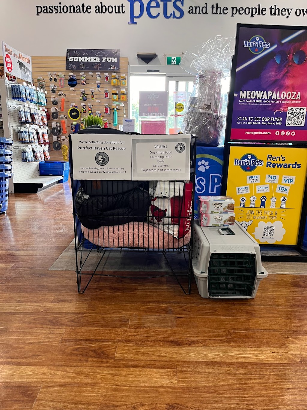 Purrfect Haven Cat Rescue | 6 Imperial Rd, London, ON N5X 2G6, Canada | Phone: (226) 578-0115