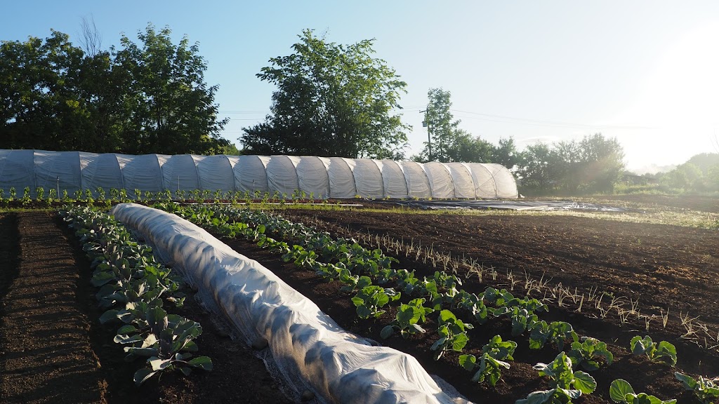 Jardins de la Beltane | 365 Chem. Lapierre, Stanstead, QC J0B 3E3, Canada | Phone: (514) 619-2035