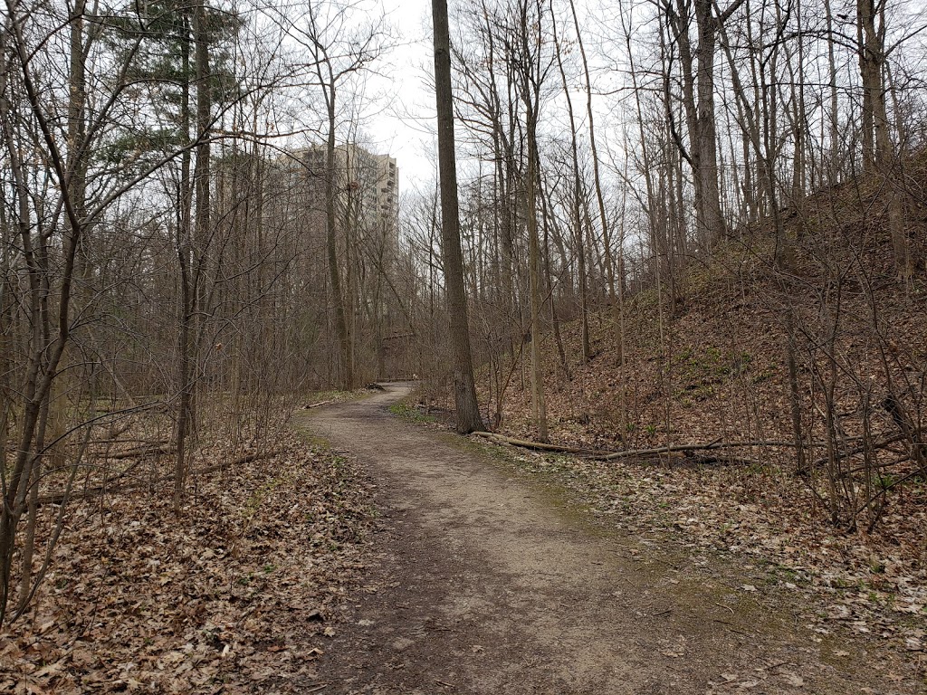 Forest Glade Walkway | Oakville, ON L6H, Canada