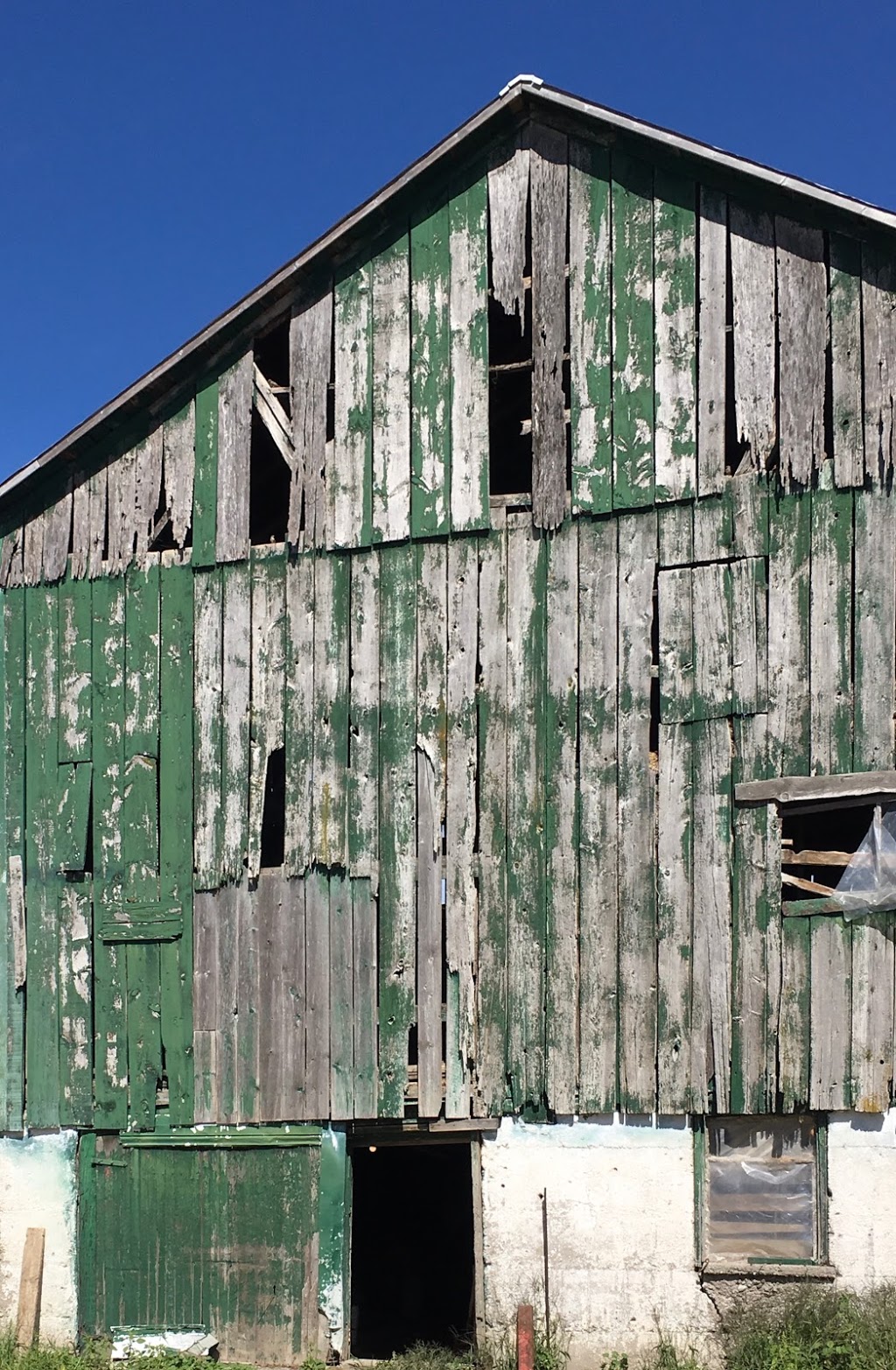 Conservatree | 22269, Adelaide St N, Ilderton, ON N0M 2A0, Canada | Phone: (519) 670-0882