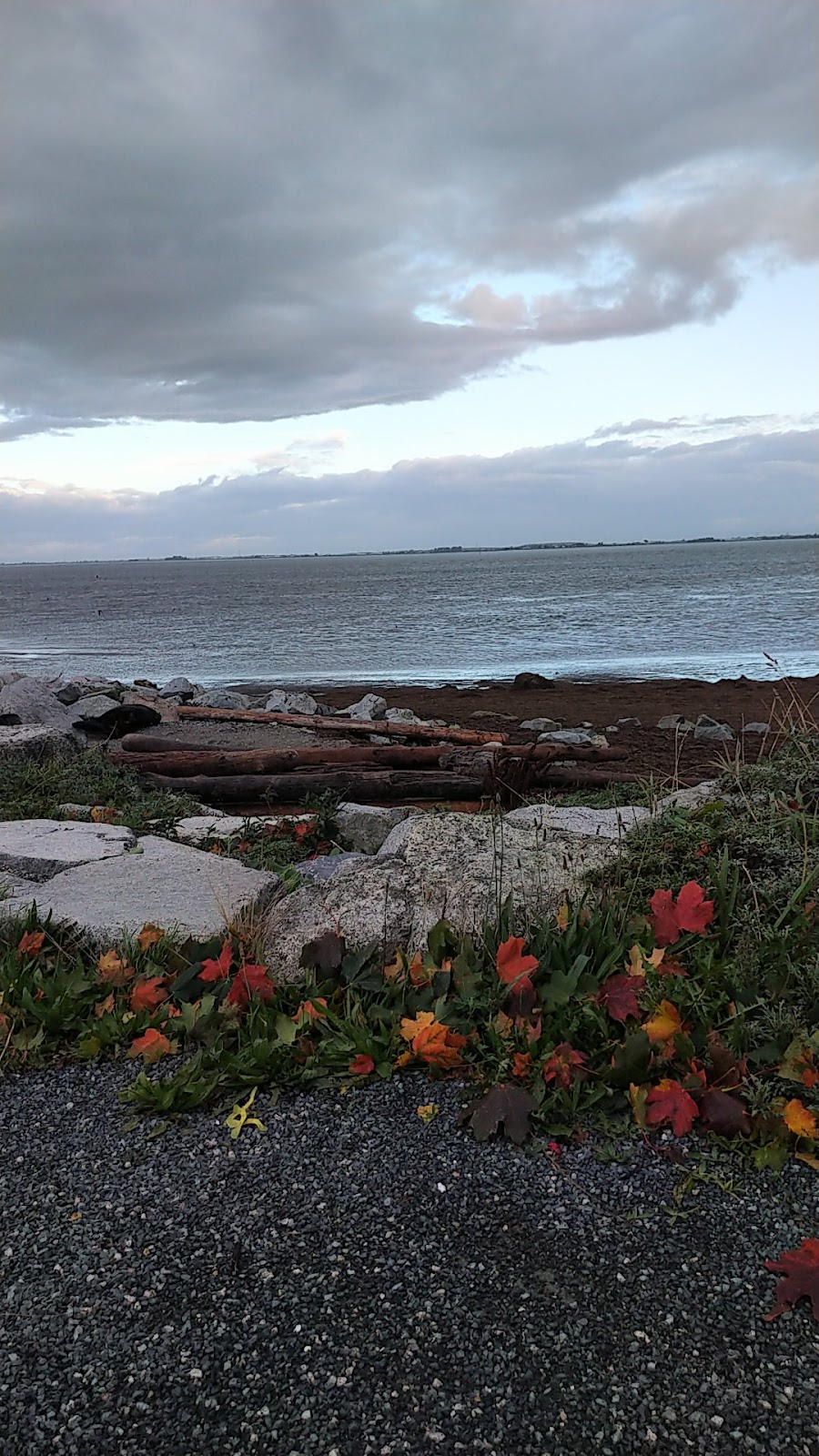 Sullivan Point Lifeguard Station | Sullivan St, Surrey, BC V4A 3B1, Canada | Phone: (604) 501-5050