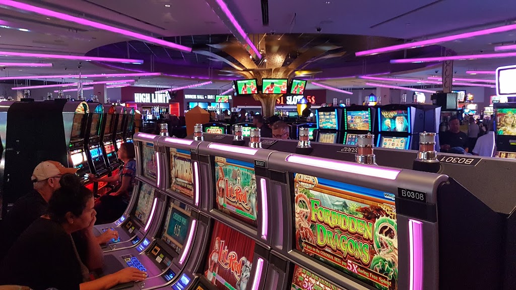 Cats, Dogs and All slots casino