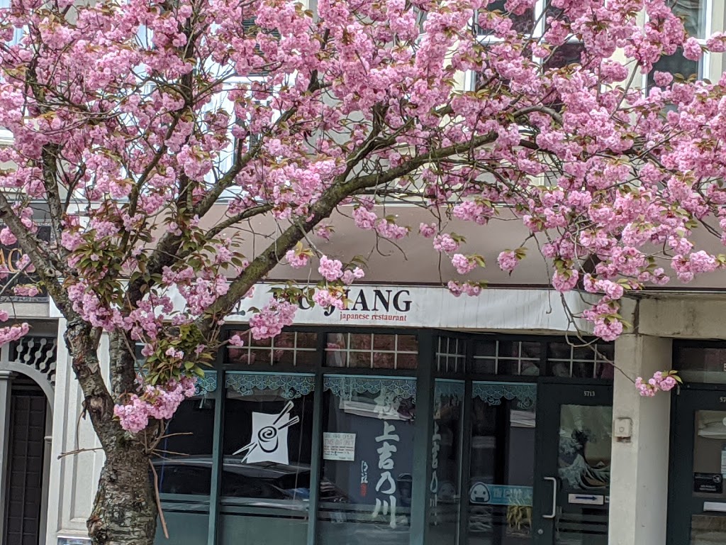 Jiu Jiang Japanese Restaurant | 5707 Balsam St, Vancouver, BC V6M 4B8, Canada | Phone: (778) 379-8858