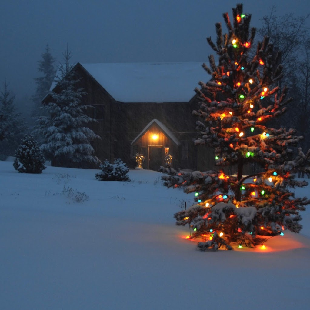 Wetherly Inn | 169 Armand Way, Salt Spring Island, BC V8K 2B6, Canada | Phone: (250) 653-4260