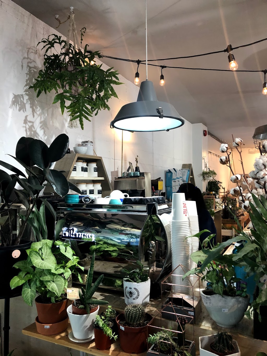 R & G Coffee | 1541 Dundas St W, Toronto, ON M6K 1T6, Canada