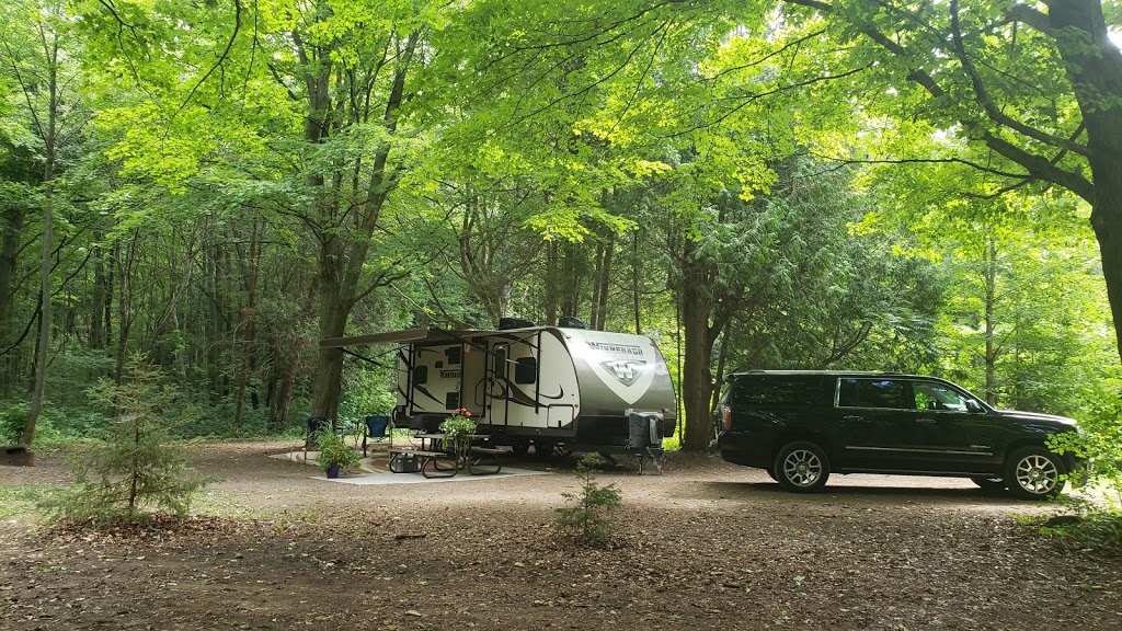 Falls Reserve Conservation Area | 80900 Falls Reserve Line, Goderich, ON N7A 3Y1, Canada | Phone: (519) 524-6429