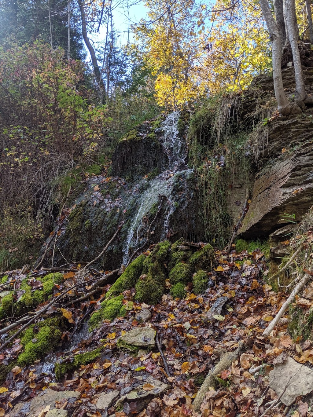 Village Way Trail - Blue Mountain | 221 Swiss Meadows Blvd, Ravenna, ON N0H 2E0, Canada