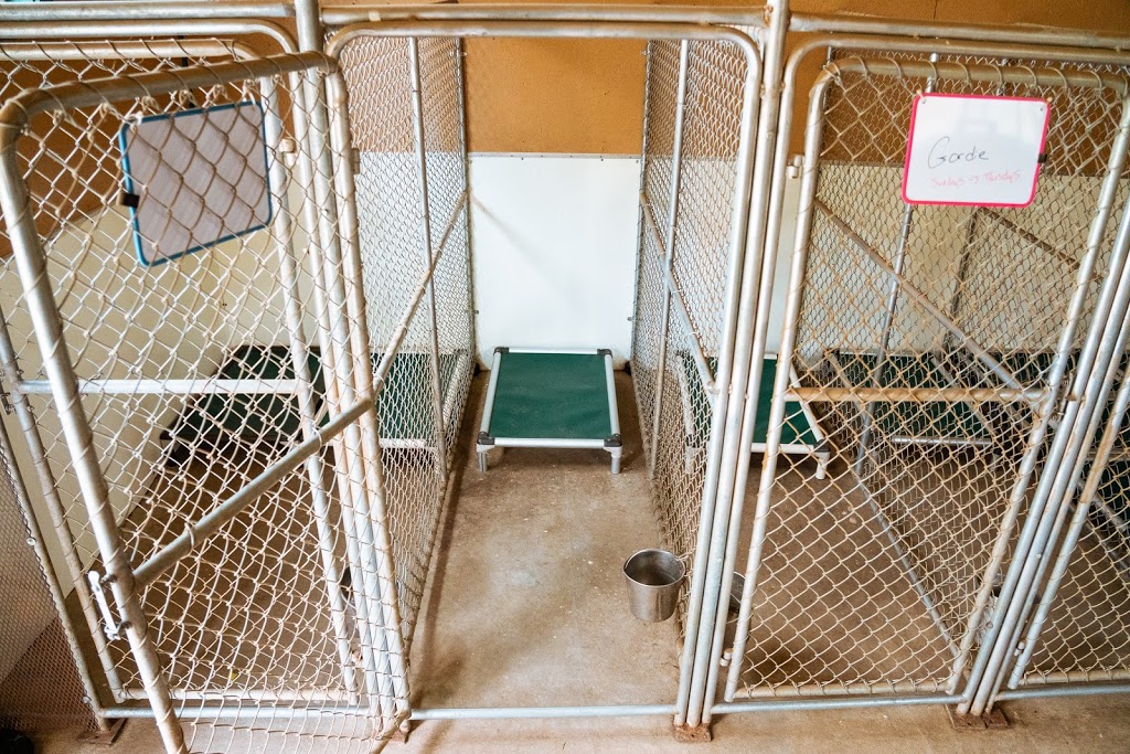 K Country Kennels | 1831 Black Creek Rd, Lanark, ON K0G 1K0, Canada | Phone: (613) 285-6137