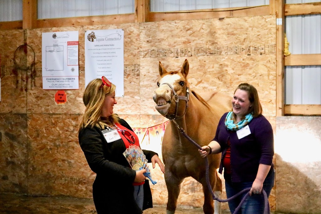 Equine Connection - The Academy of Equine Assisted Learning | 264039a Township Rd 224, Carseland, AB T0J 0M0, Canada | Phone: (403) 560-1153