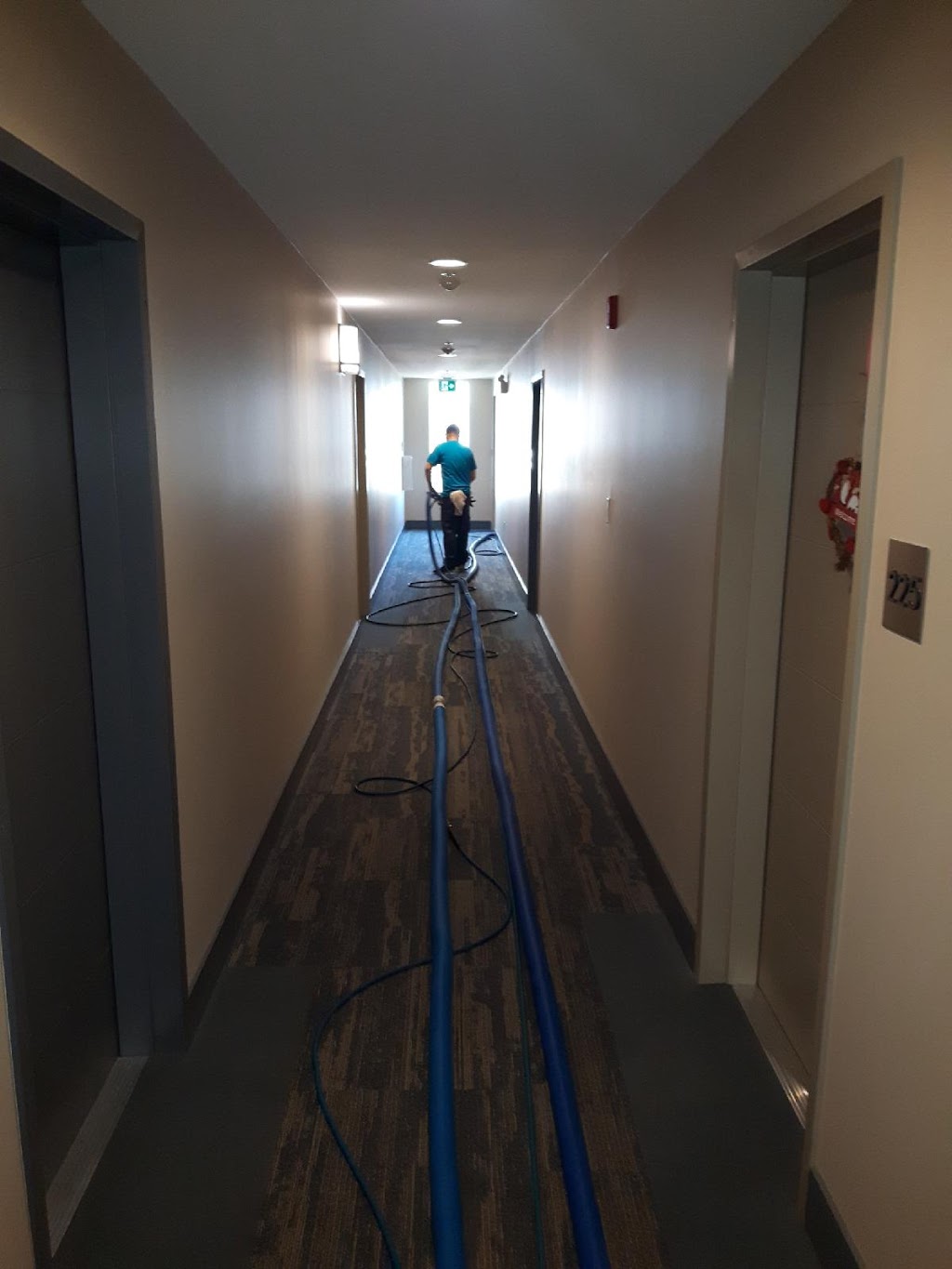 Elite Carpet Cleaning | 411 McKay Ave, Nanaimo, BC V9S 4T6, Canada | Phone: (250) 754-5577