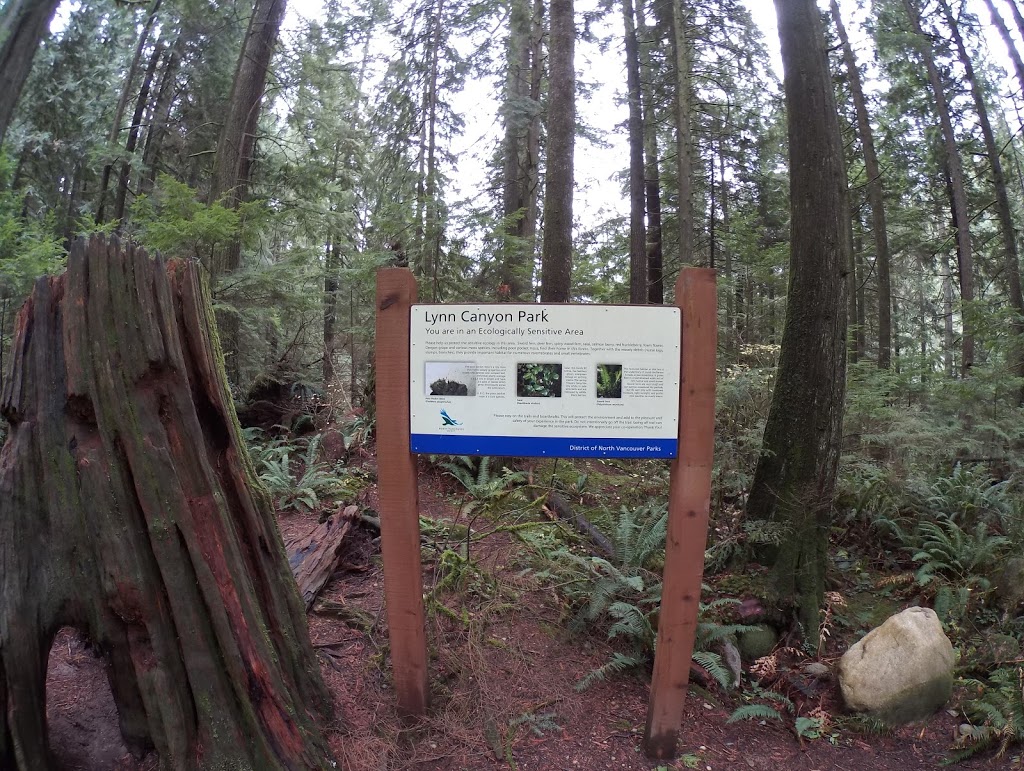 Lynn Canyon Ecology Centre | 3663 Park Rd, North Vancouver, BC V7J 3G3, Canada | Phone: (604) 990-3755
