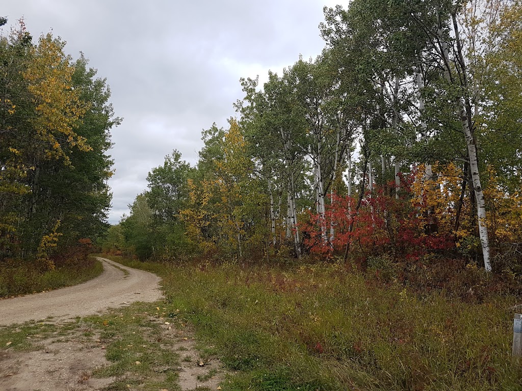 Wildflower Bride Farms | Unnamed Road, Hay Lakes, AB T0B 1W0, Canada | Phone: (780) 878-8393