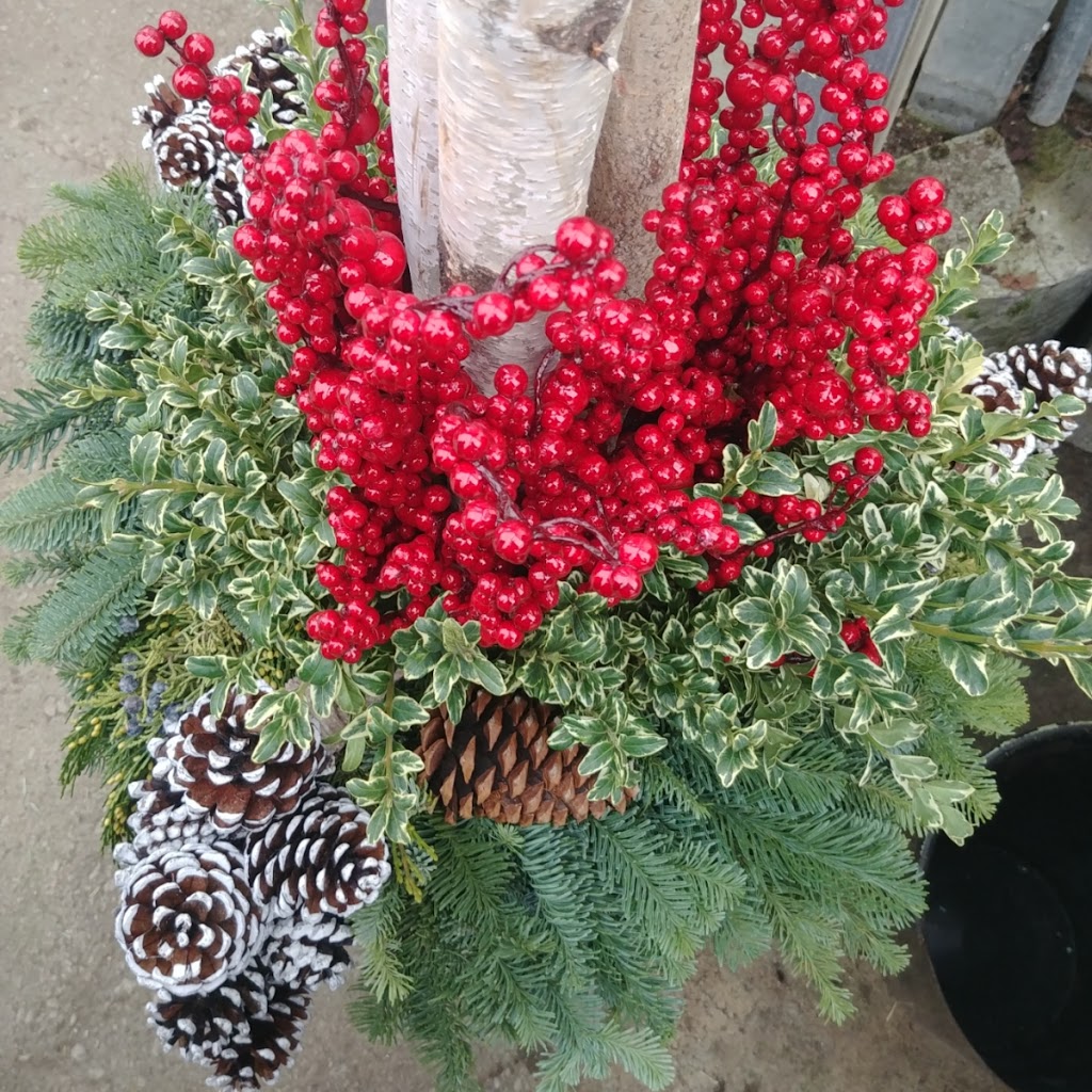 Kennedy Greenhouses | 11574 Kennedy Rd, Markham, ON L6C 1P3, Canada | Phone: (905) 887-1130