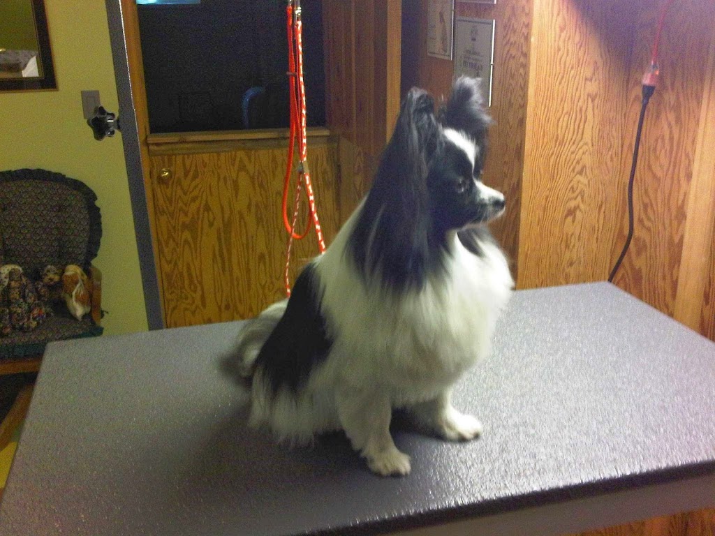 Nice N Neat Pet Grooming | 53 London Rd, Hensall, ON N0M 1X0, Canada | Phone: (226) 448-2623