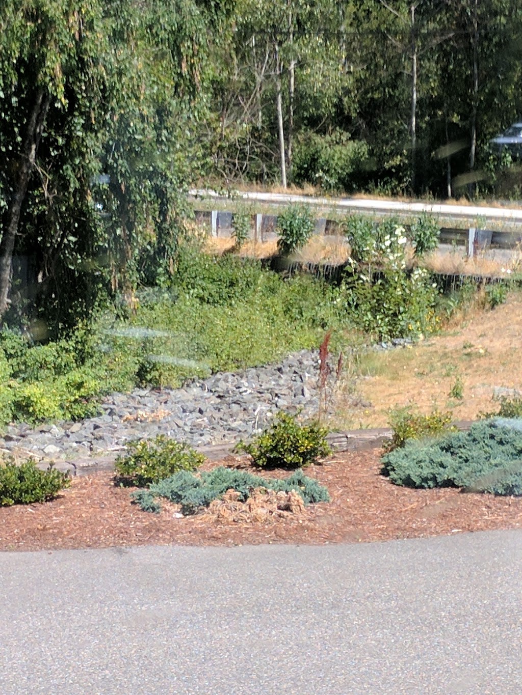 Sunset Storage | 3423 James St, Bellingham, WA 98226, USA | Phone: (360) 734-0668