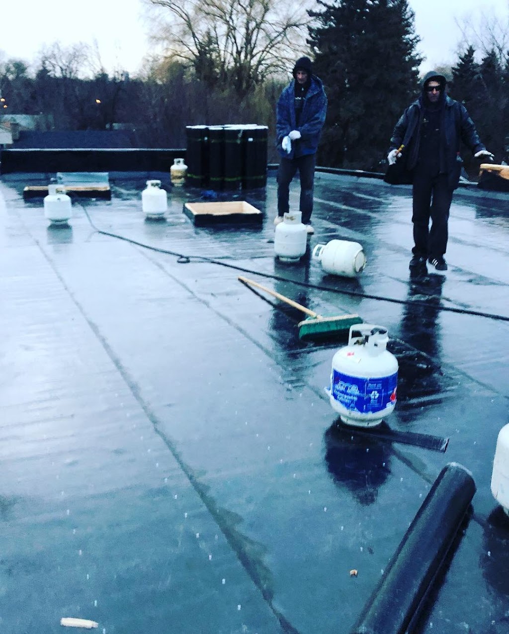 Albyn roofing | Beef Boulevard, Toronto, ON M2M 2E9, Canada | Phone: (647) 607-0071