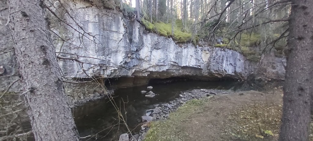 Westward Bound Campgrounds Ltd | Nordegg, AB T0M 2H0, Canada | Phone: (403) 721-3975