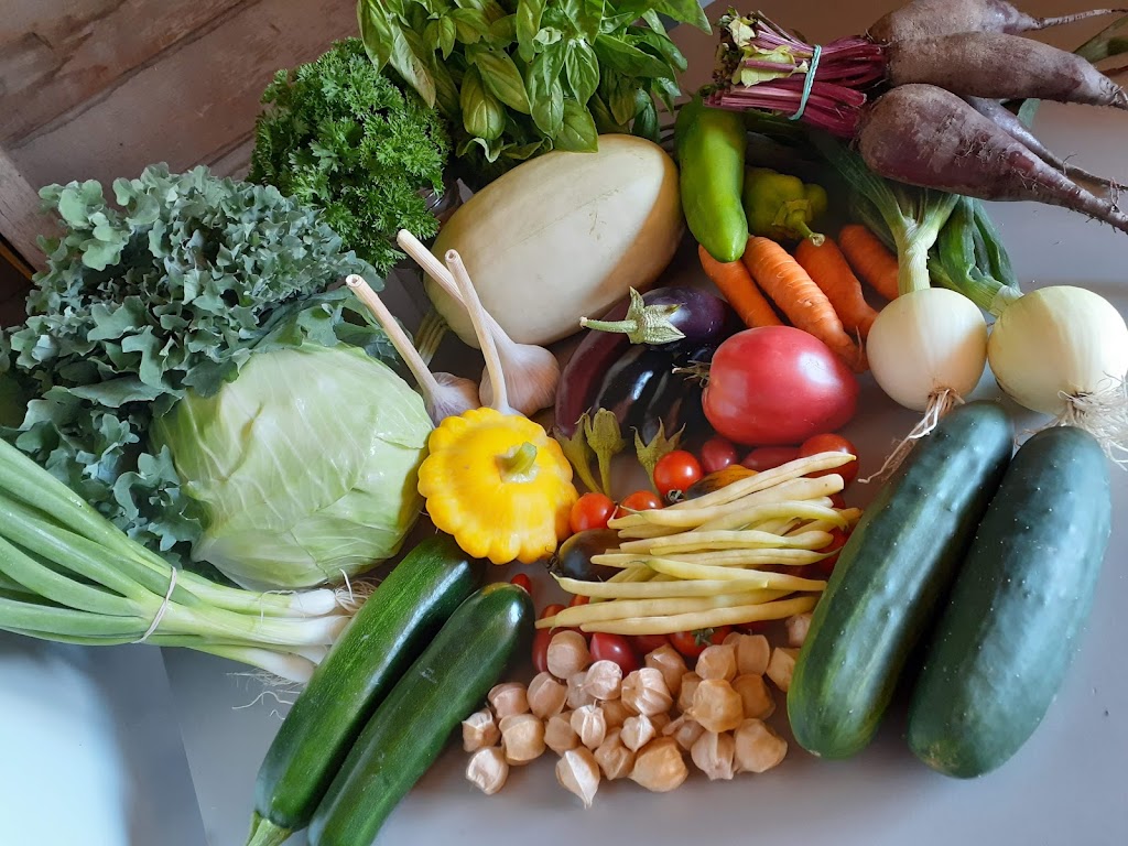 La Ferme Révolution Bio | 581 Rang Salvail S, La Présentation, QC J0H 1B0, Canada | Phone: (450) 278-7031
