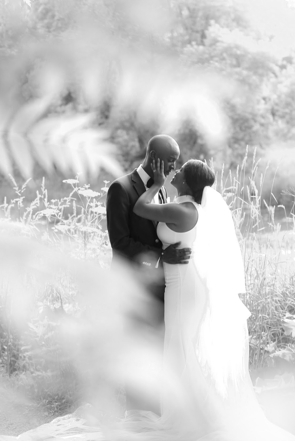 Everlast Photography | 45 Bristol Rd E Unit 23, Mississauga, ON L4Z 3P5, Canada | Phone: (416) 897-5526