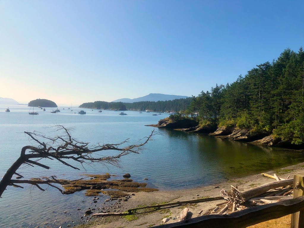 Lady of the Sea Adventures | Gate 3 Squalicum Harbor E West, 25, Bellingham, WA 98225, USA | Phone: (360) 319-7119