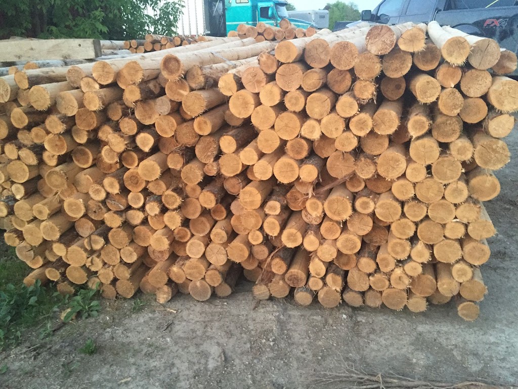 Hayes Timber Inc. | 7 N Diagonal, Hepworth, ON N0H 1P0, Canada | Phone: (519) 534-2067