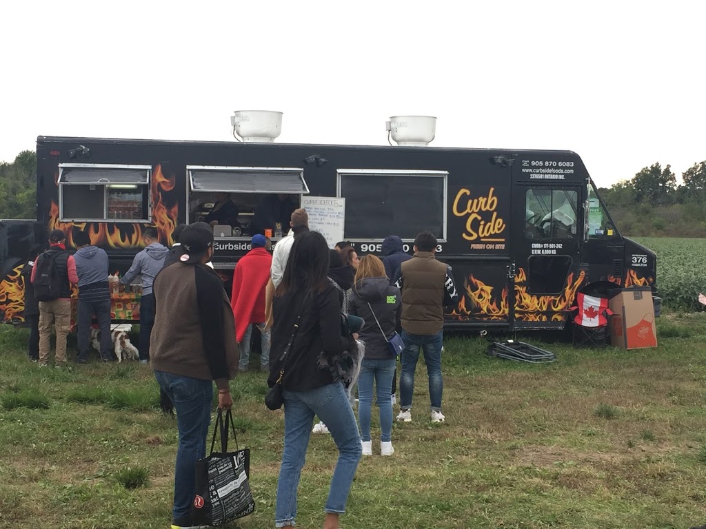 Curbside Foods Mobile Kitchen And Special Events Food Truck | 68 Rita Ave, Hamilton, ON L8W 1M5, Canada | Phone: (905) 870-6083