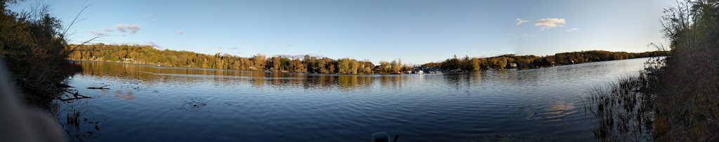 Stevensons Marina | Hastings, ON K0L 1Y0, Canada | Phone: (705) 696-2683