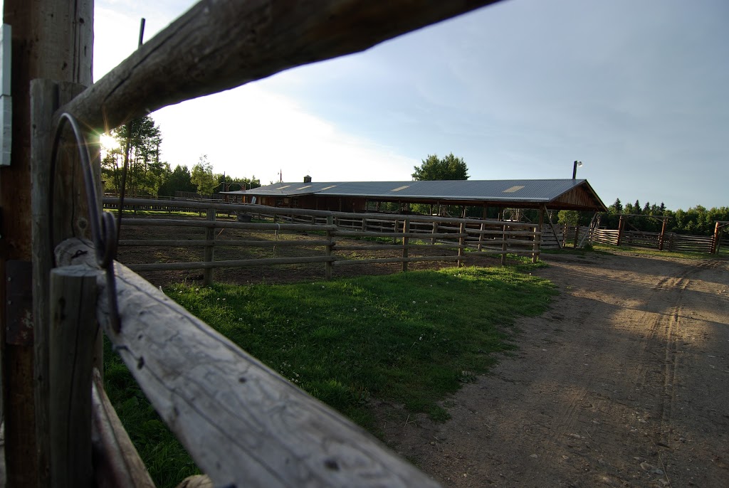 Camp Evergreen | 31404 Range Rd. 52, Township Rd 314, Bergen, AB T0M 1X0, Canada | Phone: (403) 638-4230