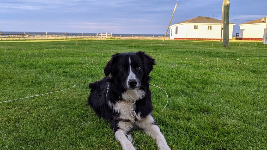 Golden Sands Cottages | Wharf Rd, South Rustico, PE C0A 1X0, Canada | Phone: (902) 963-2789
